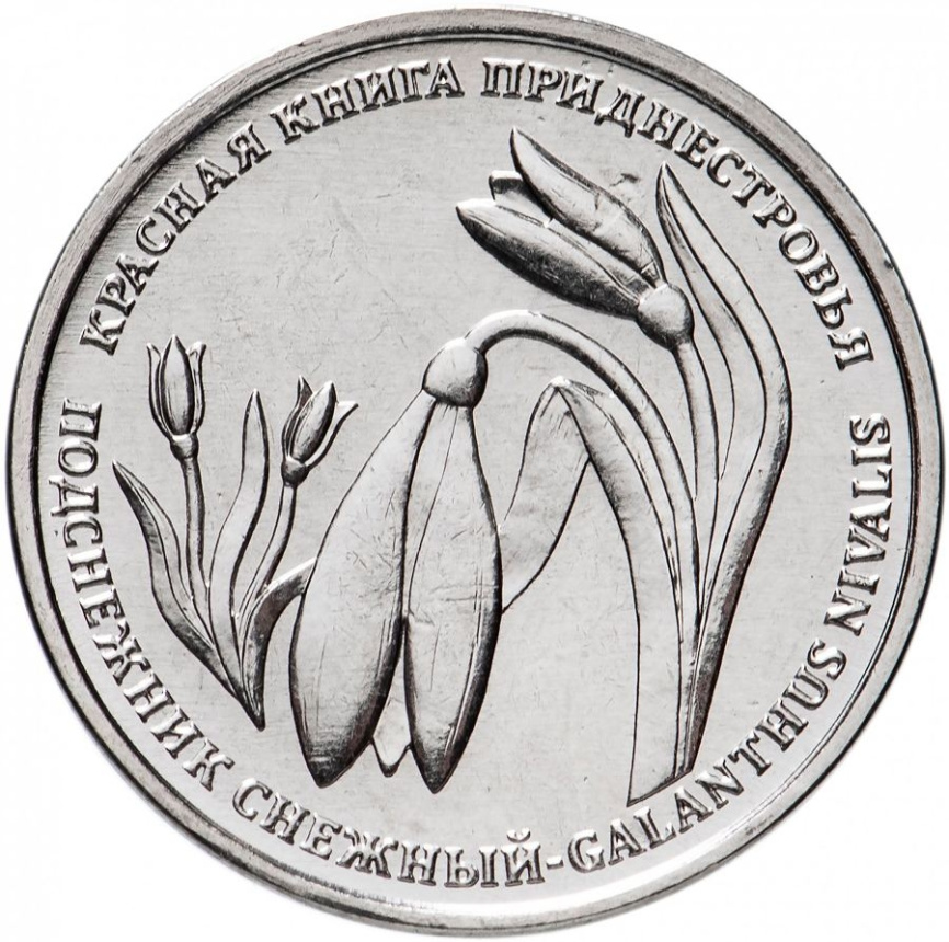 Подснежник-Красная книга Приднестровья, 1 рубль, 2020 год фото 1