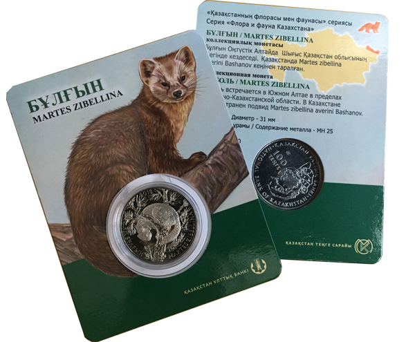 Соболь (БҰЛҒЫН) фото 3