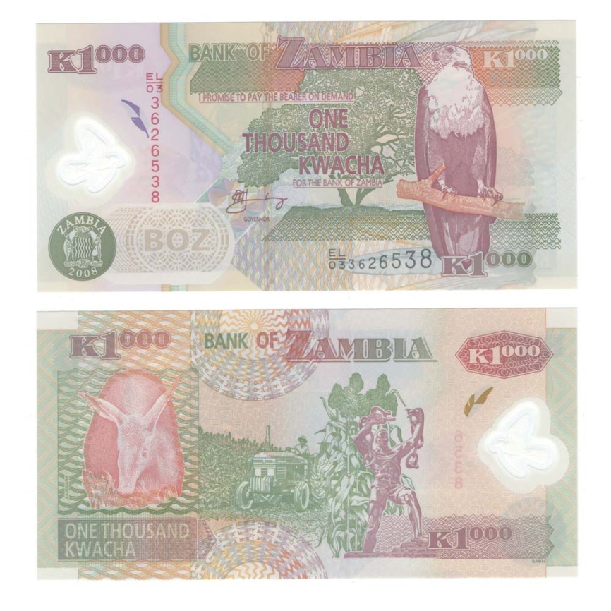 Замбия | 1000 квача | 2008 год фото 1