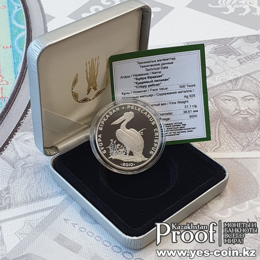 Кудрявый пеликан, серия «Красная книга РК» фото 5